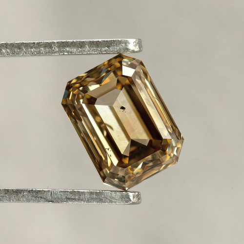 Natural champagne brown - champagne,